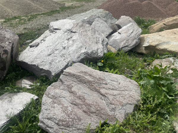 Скальник сланец